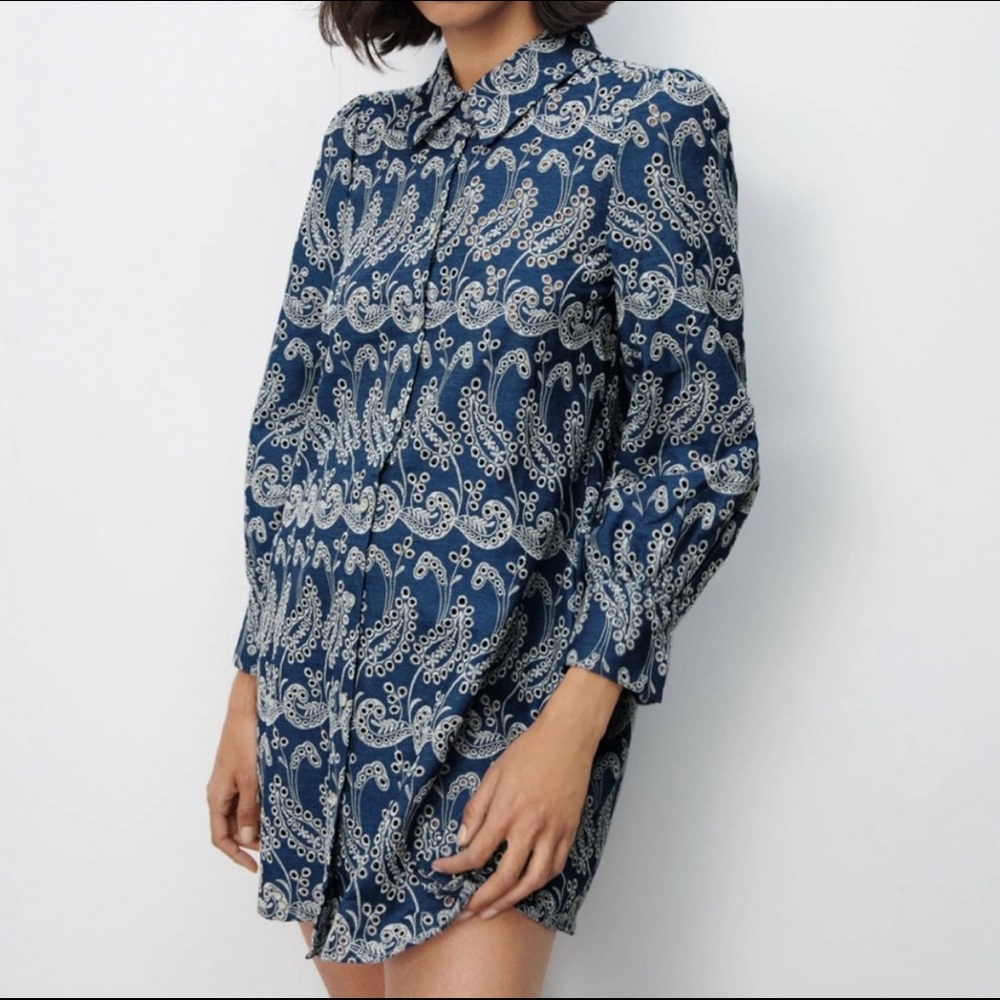 Zara Embroidered Paisley Dress